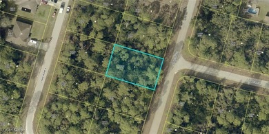 Lehigh Acres Area Lot For Sale in Lehigh Acres Florida