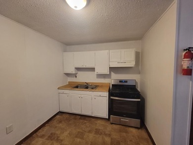 Unit 3 - (A) 4/2 Leased for 12 months at $1,985Unit 2- (C)3 /1 - photo 6