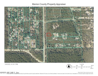 Lake George Lot For Sale in Salt Springs Florida
