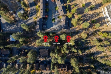 Lake Lot For Sale in Glenbrook, Nevada