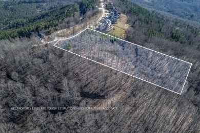 Lake Acreage For Sale in Blairsville, Georgia