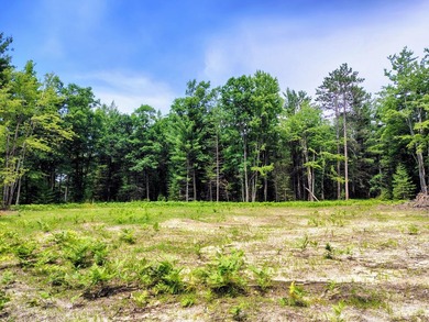 Discover the perfect setting for your dream home on this - photo 16