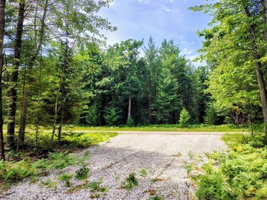 Discover the perfect setting for your dream home on this - photo 19