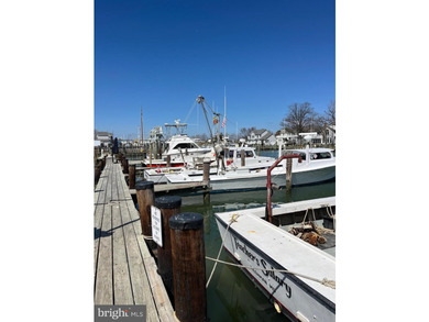 Located minutes from St. Michaels this waterfront property is a - photo 8