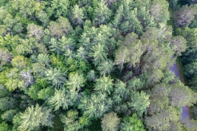Lake Lot For Sale in Eagle River, Wisconsin
