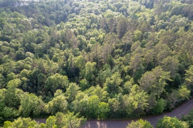 Lake Lot For Sale in Eagle River, Wisconsin