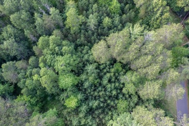 Lake Lot For Sale in Eagle River, Wisconsin