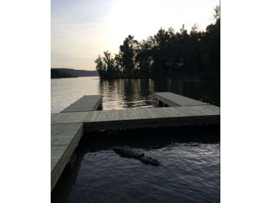 Adorable Lake Home In Linwood Park With Dock - photo 33