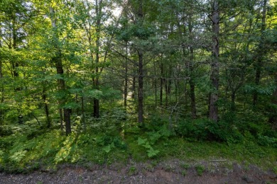 Lake Acreage For Sale in Eagle River, Wisconsin