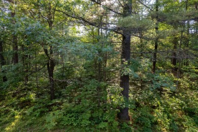 Lake Acreage For Sale in Eagle River, Wisconsin