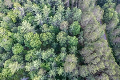 Lake Acreage For Sale in Eagle River, Wisconsin