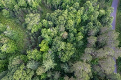 Lake Acreage For Sale in Eagle River, Wisconsin