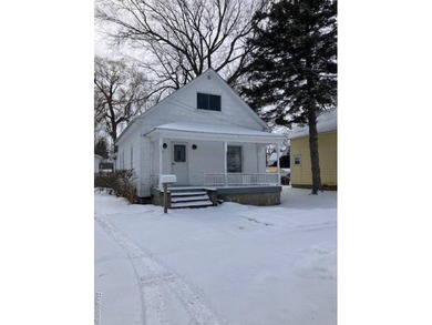 Lake Huron - Huron County Home For Sale in Harbor Beach Michigan