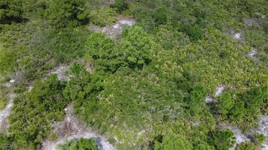 Lehigh Acres Area Lot For Sale in Lehigh Acres Florida