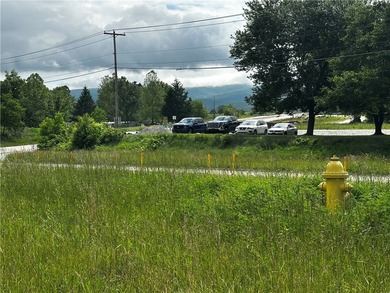 (private lake, pond, coastal) Commercial For Sale in Georges Twp Pennsylvania