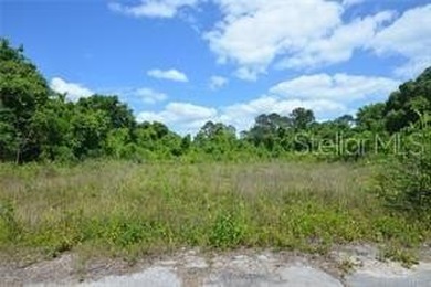 Bowers Lake Lot For Sale in Ocala Florida