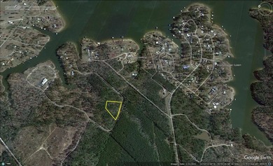 Large wooded lot in restricted lake subdivision. Plenty of room - photo 1