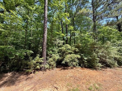 Large wooded lot in restricted lake subdivision. Plenty of room - photo 2