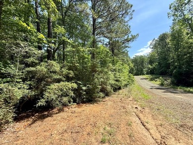 Large wooded lot in restricted lake subdivision. Plenty of room - photo 3