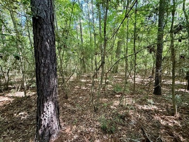 Large wooded lot in restricted lake subdivision. Plenty of room - photo 4