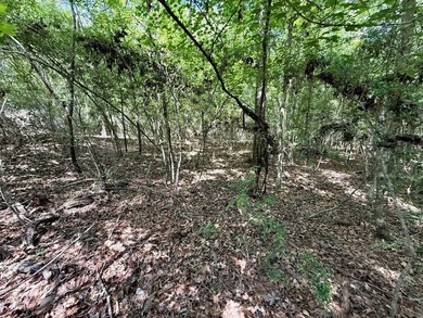 Large wooded lot in restricted lake subdivision. Plenty of room - photo 5