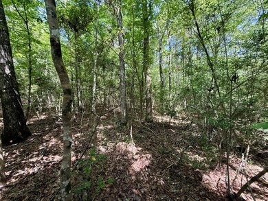 Large wooded lot in restricted lake subdivision. Plenty of room - photo 6