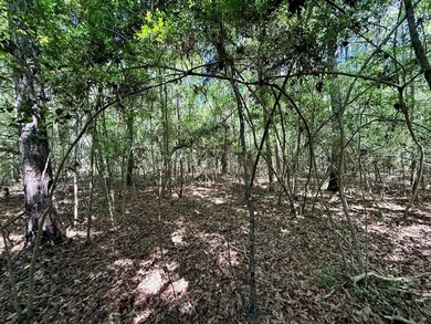 Large wooded lot in restricted lake subdivision. Plenty of room - photo 7