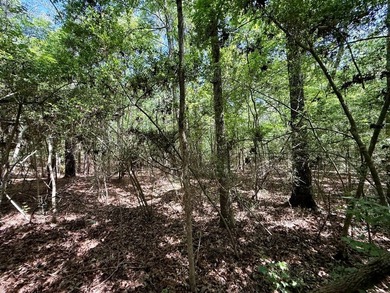 Large wooded lot in restricted lake subdivision. Plenty of room - photo 8