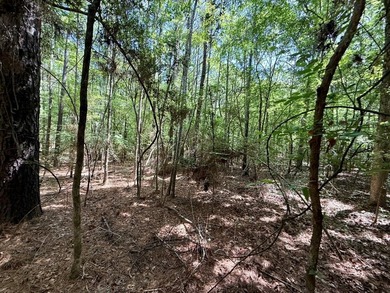 Large wooded lot in restricted lake subdivision. Plenty of room - photo 9