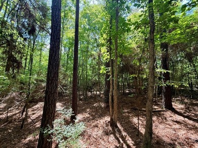 Large wooded lot in restricted lake subdivision. Plenty of room - photo 10