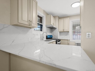 Beautiful renovated semi-attached colonial on a quiet tree lined - photo 4