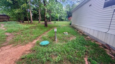 Spacious 4-bedroom, 2-bathroom mobile home nestled on a - photo 10