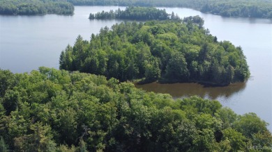 Sixteenmile Lake Acreage For Sale in Munising Michigan