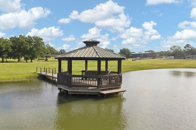 RARE OPPRTUNITY to own 29 acres with multiple income producing - photo 8