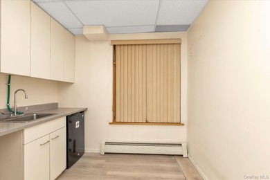 Discover an exceptional opportunity to acquire a 1,600 square - photo 9