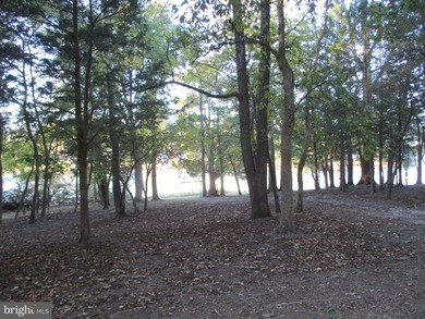 Welcome to Bayside Road. Residents of Leonardtown believe this - photo 29
