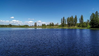 (private lake, pond, creek) Acreage For Sale in Reardan Washington