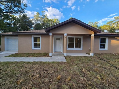 Bowers Lake Home For Sale in Ocala Florida