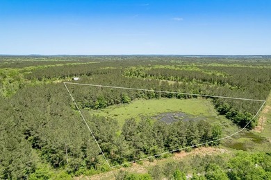 Lake Nacogdoches Acreage For Sale in Douglass Texas