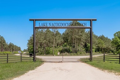 Beautiful 10-acre tract in the gated Lake Nacogdoches Ranch - photo 2