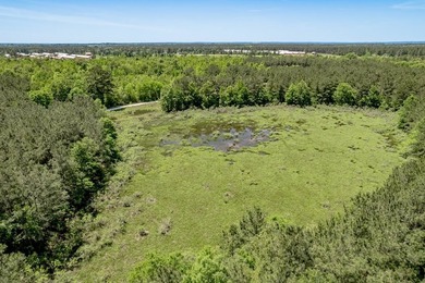 Beautiful 10-acre tract in the gated Lake Nacogdoches Ranch - photo 3