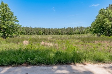 Beautiful 10-acre tract in the gated Lake Nacogdoches Ranch - photo 4