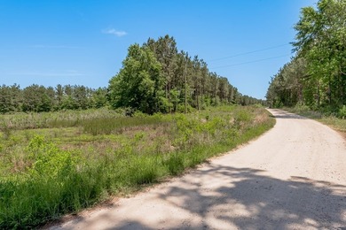 Beautiful 10-acre tract in the gated Lake Nacogdoches Ranch - photo 5