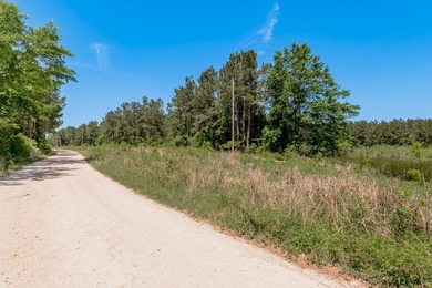Beautiful 10-acre tract in the gated Lake Nacogdoches Ranch - photo 7