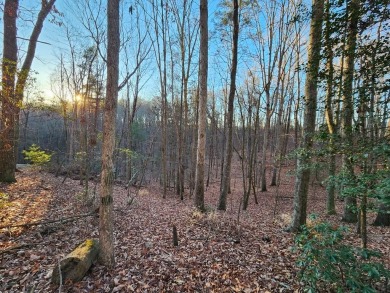 Lake Lot For Sale in Ellijay, Georgia