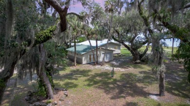 Lake Home For Sale in Geneva, Florida