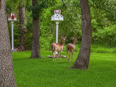 Nestled among towering hardwoods in the gated waterfront - photo 5