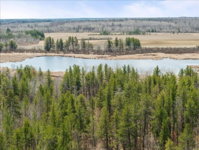 Lake Acreage For Sale in Pine River, Minnesota