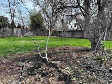 MLS# 291305 Beautiful remodeled 4 bedroom 2.5 bath setting on - photo 36
