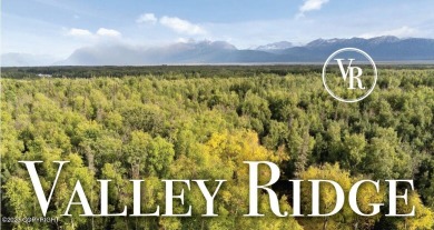 Lake Lot For Sale in Wasilla, Alaska
